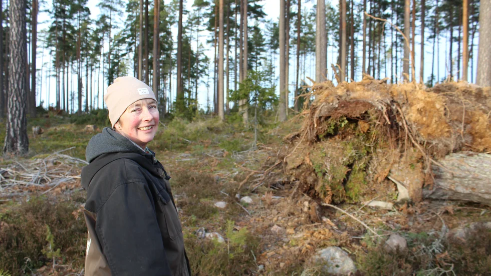 "Hoppas bara att det inte kommer en monsterblåst snart igen så att ungträden hinner växa till sig", säger Kristina Lindelöf.