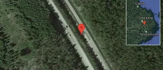 Långsamt fordon på vägen stör trafiken på E4