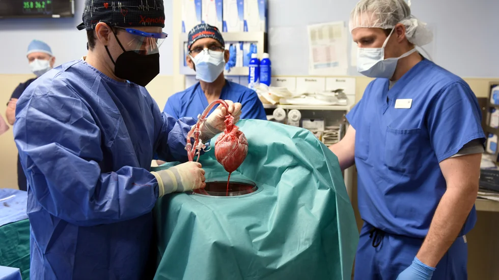 57-årige David Bennett fick ett grishjärta vid en transplantation i Baltimore, USA, i början av januari.