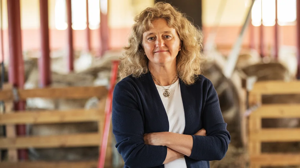 Anita Falkenek, vd för Krav, lämnar sin tjänst i april. Nu söks hennes efterträdare.