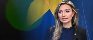 Sverige kan inte längre lita på billig el