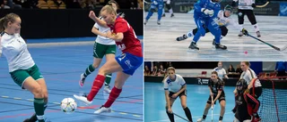 "Jag förstår att det kastas avundsjuka blickar mot Solfjäderstaden"
