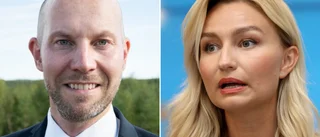 "Ett direkt skadligt förslag" • Nordmarks uppmaning: "Överge planen på att slå samman Sverige till ett elprisområde" 