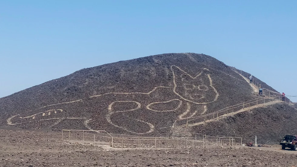 2020 upptäcktes en 37 meter lång kattfigur på en kulle i Nasca. Katten hade dolts av åratal av erosion.