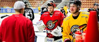 Expertens hyllning – av Lassinantti