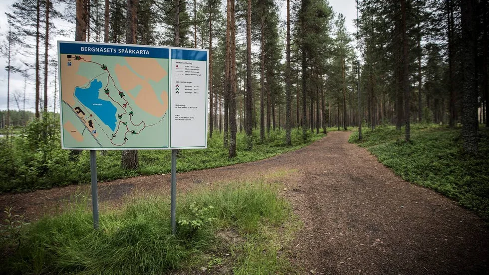 Överfall. Det var i det här området som den 20-åriga kvinnan blev överfallen.