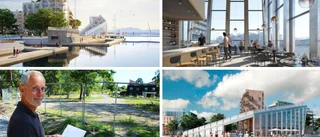 De hoppar av uppdraget att bygga Norrköpings nya landmärke: "Vill inte kalla det för ett bakslag"