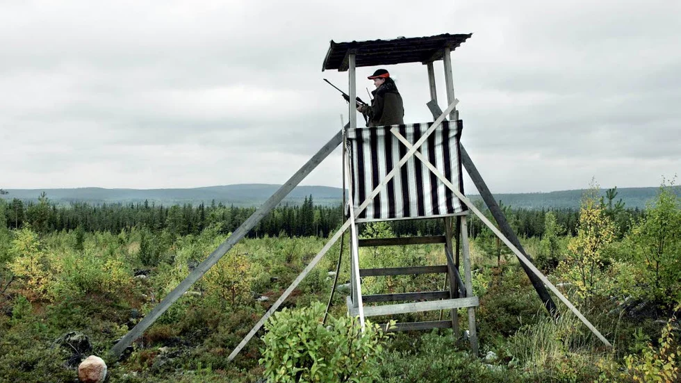 KONTROLLER. Älgjakten är igång och polisen i Norrbotten har genomfört ett antal kontroller för att se till att jägarna följer lagstiftningen när det gäller hanteringen av vapen.