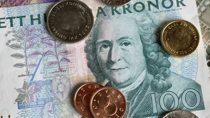 Slöseri. Dessa pengar som vi kunde använt till att bygga och bevara vårt så hett eftertraktade välstånd slängde vi istället i sjön, anser Karin Karlsson.