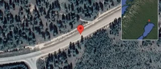 Hästar på vägen på väg 720