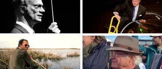 BILDEXTRA: Roa dig kungligt – med Carl XVI Gustafs besök i Östergötland genom åren
