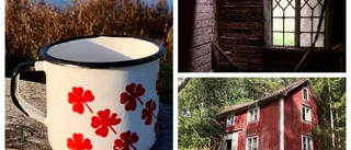 Muggens upptäcksfärd i Tjust gör succé på Instagram • Vi har träffat den hemliga ägaren