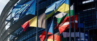 HRW berömmer Ukrainarespons: Bör bli en mall