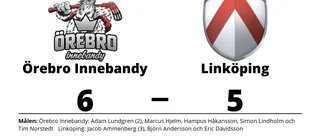 Tungt för Linköping - Örebro Innebandy bröt fina vinstsviten