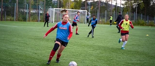 Gyllene generationen är för bra – nu splittras ungdomslagen