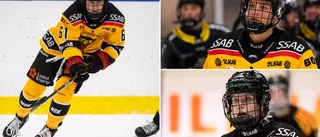 Beskedet: Så är det med Luleå Hockeys skadade spelare