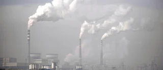 Vi har inte råd med en feg klimatpolitik
