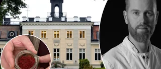 Lokalt odlad saffran på Södertunas slottsmeny: "Nu kan jag använda det med gott samvete" ✓Första burken räcker till 500 personer
