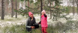 På spaning efter nissen i skogen