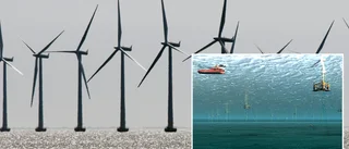 Två enorma vindkraftsparker utanför Gotland
