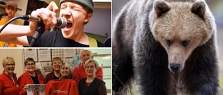 Hängivna föreningar, säkra band och varning för nallar