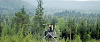 Förslag till ändrad jaktlag väcker frågor