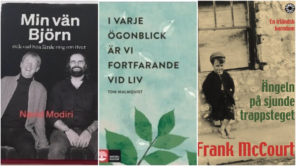 Bokklubben Litterära salongen tipsar idag om ”Min vän Björn” av Navid Modiri, "I varje ögonblick är vi fortfarande vid liv” av Tom Malmquist, och ”Ängeln på sjunde trappsteget” av Frank Mc Court.