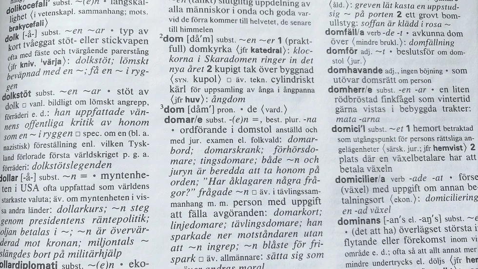 "Dom" beskrivs som vardagligt i Svensk ordbok. Signaturen Självutnämnd språkpolis tycker inte att ordet har något att göra i skriven svenska.