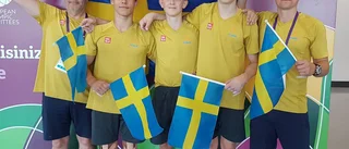 Stenberg till final på ungdoms-OS