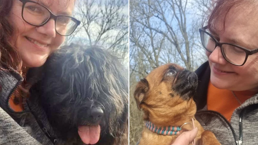 Ingela Andersson är hundtränare och utbildad i första hjälpen på hund.