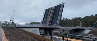 Utskällda bron kan bli årets vinnare