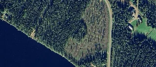 Tomt i Skellefteå kommun har fått ny ägare – priset: 72 000 kronor