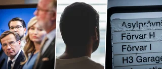 Räkna med allt fler absurda utvisningar