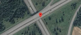 Rådjur på fel sida av viltstängslet på E4