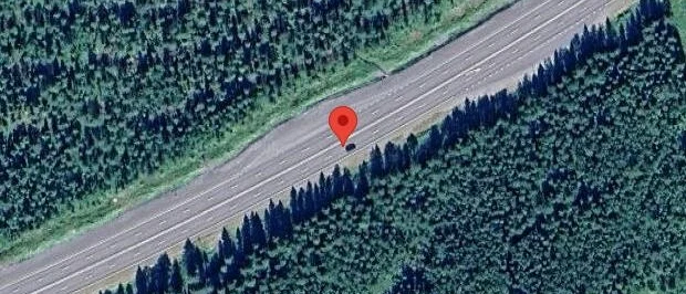 Älgar på vägen kan skapa fara på E4