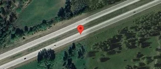 Rådjur på vägen kan skapa fara på E20