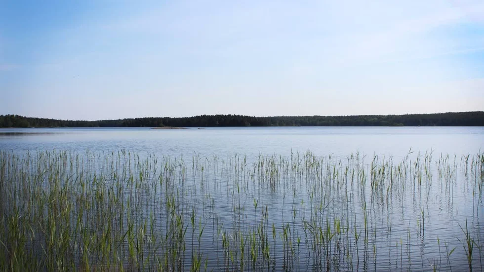 "Vi vill optimera Hjorten som vattentäkt", skriver insändarskribenten i sin listning av lokala vallöften från V.