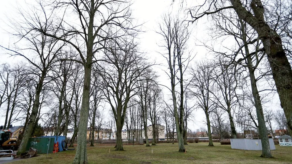 Asylenparken.