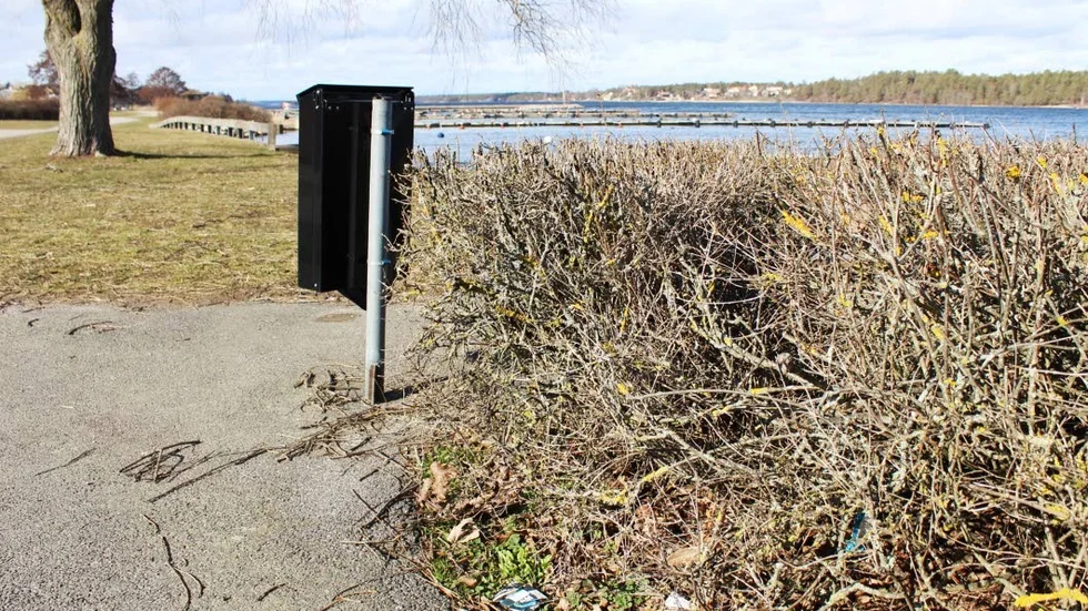 På lördag vill arrangörerna att så många som möjligt passar på att städa i naturen.