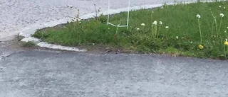 Mystiska skyltar skapar förvirring