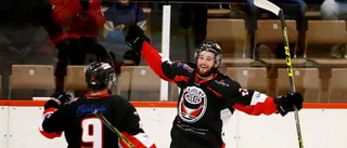 "Skulle inte göra bort sig i SHL"