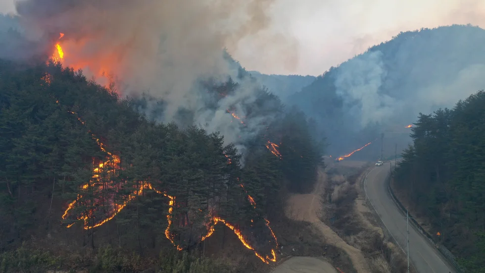 Tusentals brandmän bekämpar en skogsbrand på östkusten.