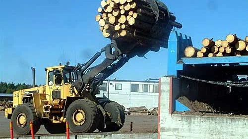 Hos Berg & Co i Mörlunda hanteras mängder av timmer varje dag i en process som går ofantligt fort, från stock till färdigsågad vara.