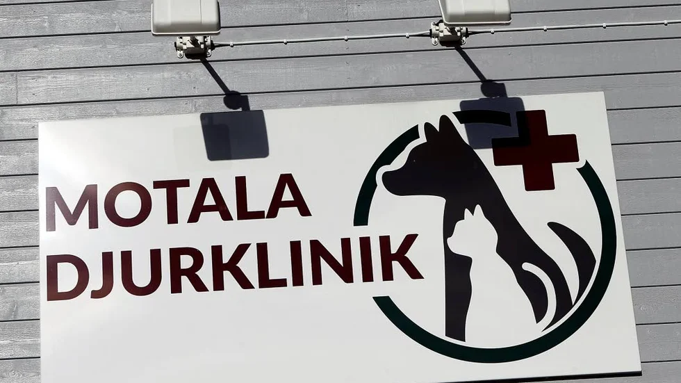 Motala Djurklinik fick stänga fyra veckor förra sommaren på grund av brist på veterinärer men i år har man lyckats bemanna hela sommaren.