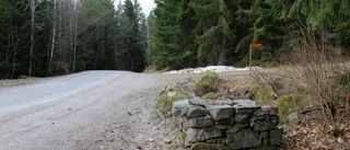 Mystiska stölden: Milsten från 1800-talet