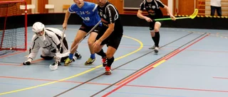 Viktigt segerryck av Antvarden