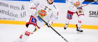 VIK:s konkurrent värvar forward