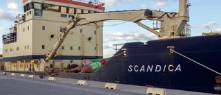 Scandica prickar leden