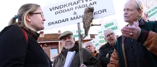 Nya vindar för vindkraft
