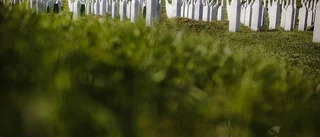 Bo Pellnäs: Erdogan, Holland och Srebrenica